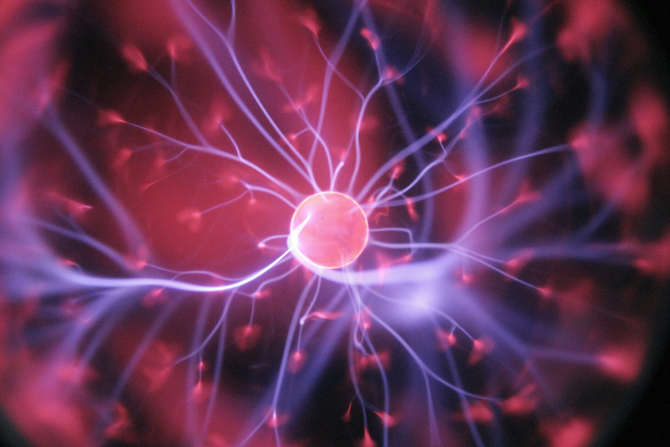 neuroscience of joy