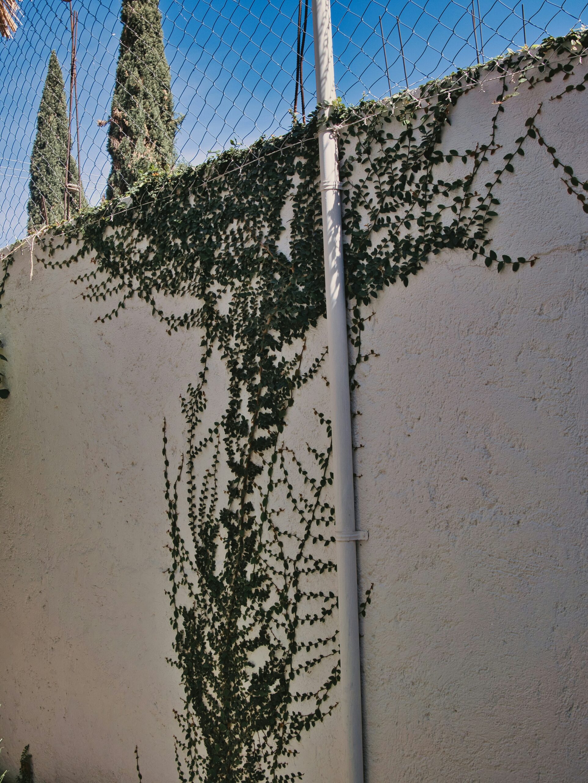 wall of awful